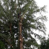 2017-06-30-08-08-00.*