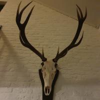 2020-11-28-18-40-19.20201128 183724