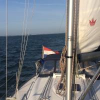 2017-08-07-10-16-48.IMG 0410