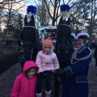 2017-12-28-16-24-54.IMG 0452