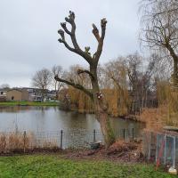 2021-01-07-15-21-54.20210107 151948